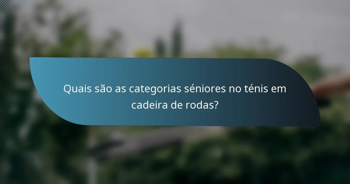 Quais são as categorias séniores no ténis em cadeira de rodas?